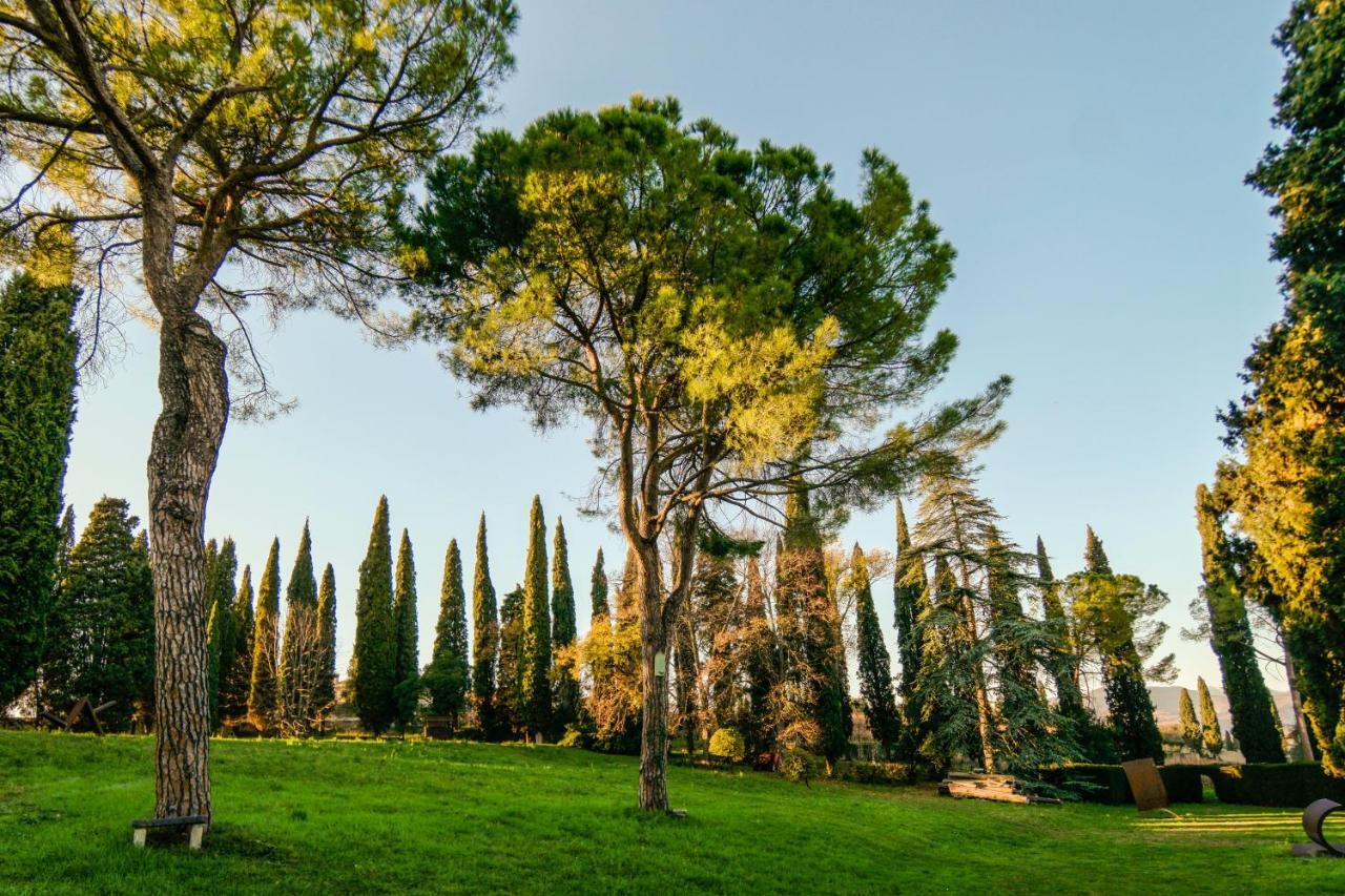 Villa Betteloni Valpolicella Suites San Pietro in Cariano Habitación foto
